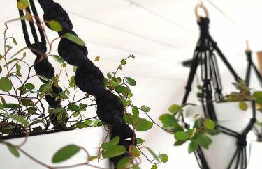 apartament BB - Foto 65