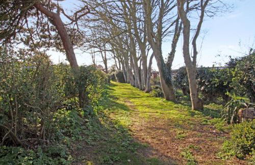 The Happy Hedgehog - Foto 33