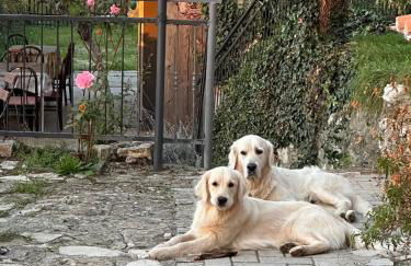 Casetta nel Podere di Massi - Foto 11