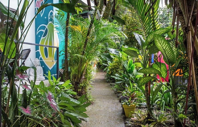 Tico Tico Villas Adult Only - Photo 61