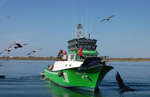 CASA CON VISTAS AL MAR EN LA PUNTA DEL CAIMÁN (ISLA CRISTINA) - Foto 33