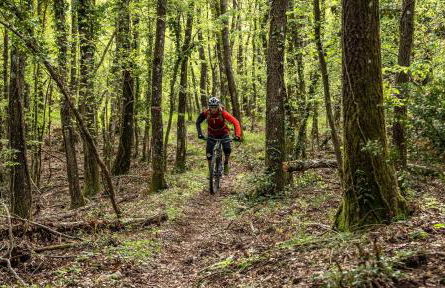 Hotel Rifugio Prategiano - Foto 23