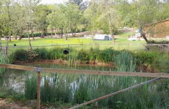 Quinta da Bolota Guest House - Foto 4