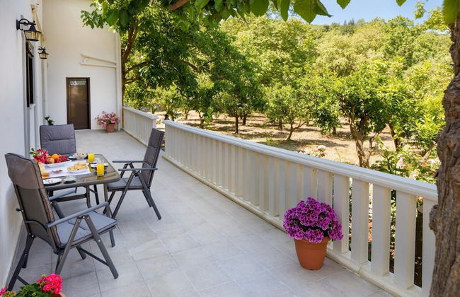 Panethimos House in Nature - Foto 17