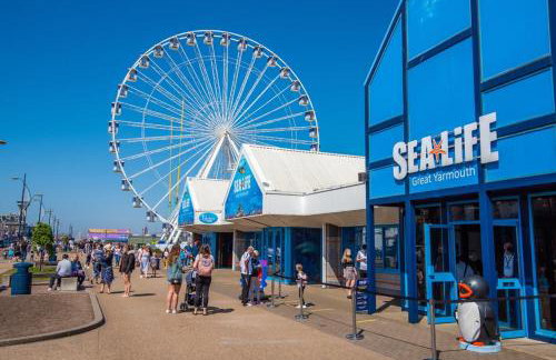 63 Bermuda - Foto 10