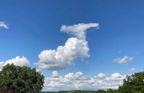 Les fontanelles du quercy blanc - Foto 11