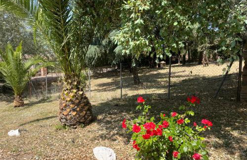 Villa Amigo, Casa Rural espectacular en Sierra de Aracena - Foto 41