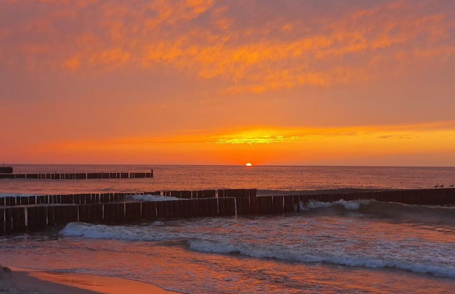 DWIE SOSNY-Apartament na wydmie - 365PAM - Photo 61