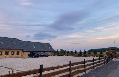 Kamień i Sowa - Foto 22