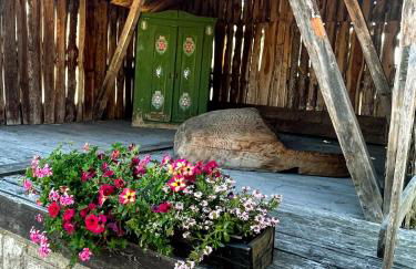 Apartment Mary Mehlmeisel - Foto 36