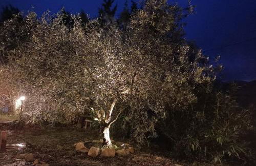 Rustic hillside stone-Rustico in pietra - Foto 12