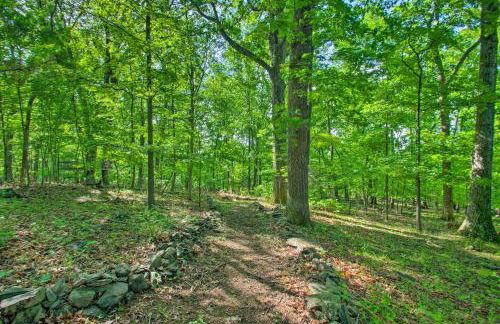 Renovated Studio on 5 Acres - Near Vineyards! - Foto 27