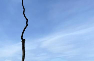 Ostseeblick - Foto 25