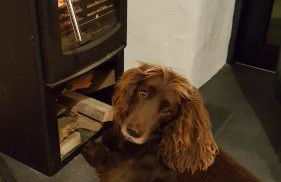 The Dairy, Treathro Farm - Rural, sea views, woodburner - Photo 27