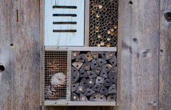 The 312 House - A Boho Retreat- Hocking Hills - Foto 34