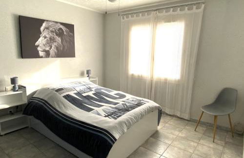 La Maison des Hirondelles, piscine, billard, ping pong, 3 terrasses et jardin - Foto 18