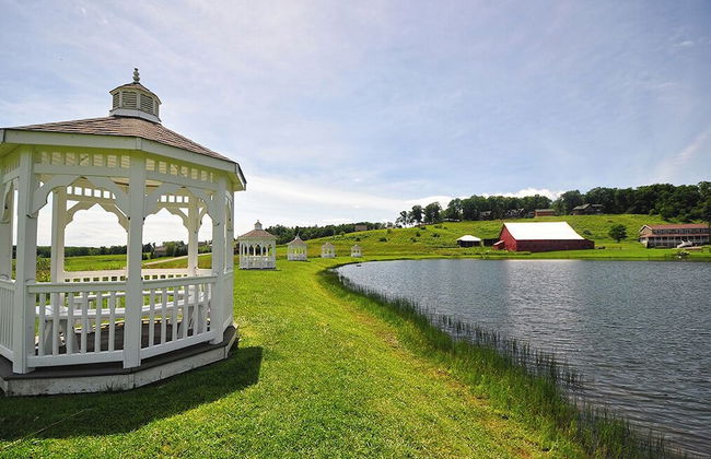 Let the Good Times Roll - Foto 70