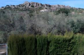 Cortijo Salva - Foto 34