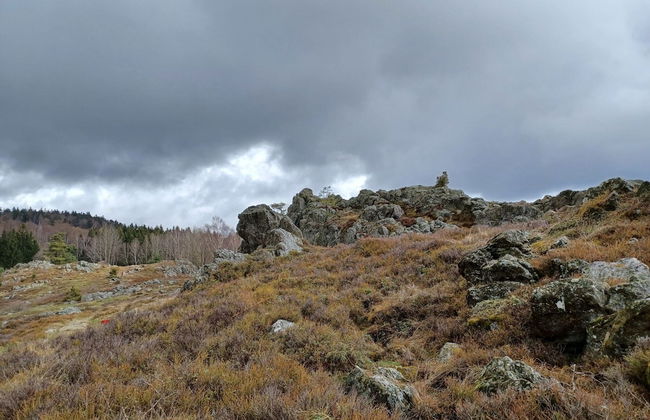 Cozy Holiday Home in Stadlern near Ski Slopes - Foto 21
