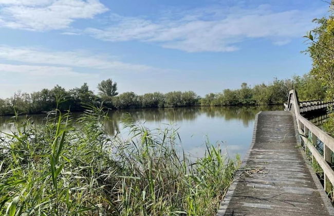 Holiday Home Tuitjenhorn Near Coast - Foto 35