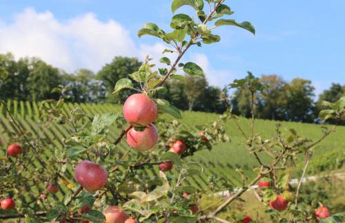 Baumanns Landhaus Durbach - Foto 76
