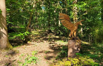 Les Chalets des Bois - Foto 13