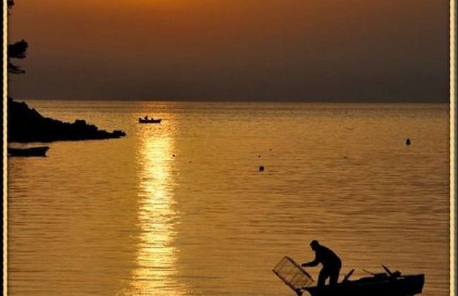 Apartment Danijela Mljet - Foto 12