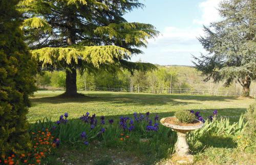 Les Hauts de Sentelines cottage - Foto 12