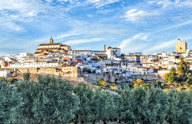 Torreon de Morayma - Foto 36