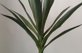 Sherryflat Prieta 7 - Foto 21