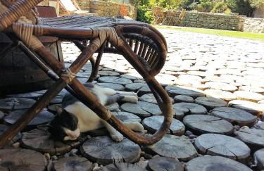 Rio d'Azenha - Country House - Foto 27