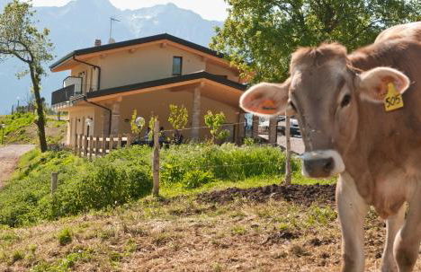 Agriturismo Al Franet - Photo 80