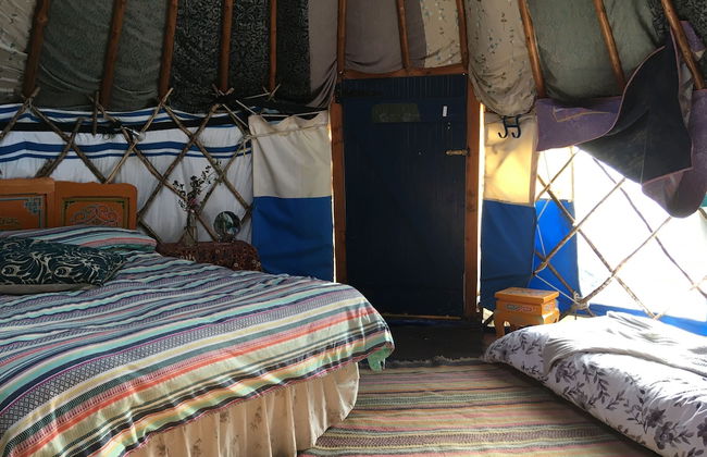 Inch Hideaway Eco Glamping - Foto 9