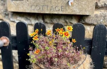 Fairytale Cottage in the Country - Foto 34