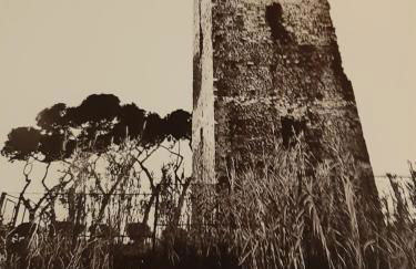 Roma Cinecittà - Foto 20