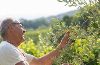 Villa Prosecco - Foto 23