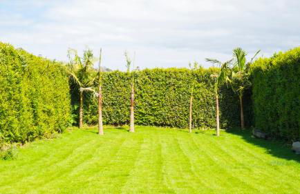 Quinta do Torcaz - Foto 114