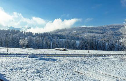 Willa Rąbanisko z sauną fińską - Foto 69