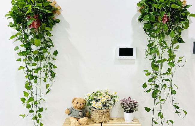 Armin Homes 2BR Vinhomes Ocean Park - Foto 6