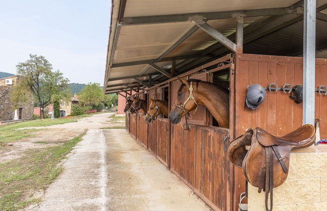 Agriturismo Le Case Rosse di Montebuono - Foto 20