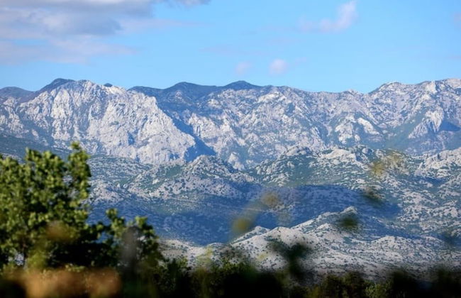 Summer House Amon - Foto 44