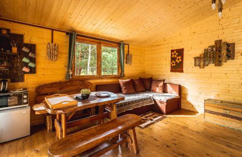 Siedlisko Janopole - Foto 29