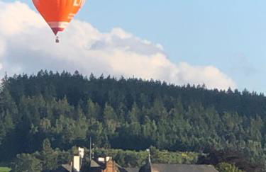 Eifel Panoramablick - Foto 23