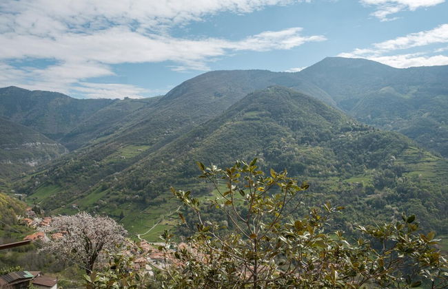 Casa del Picchio in Adrara San Martino - Foto 30