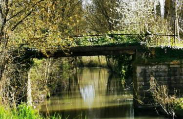 L'Aarona du Lidon - Foto 13