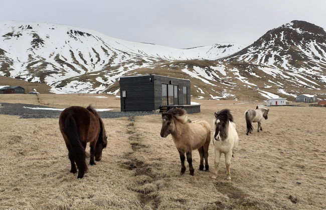 Seljalandsfoss Cottage - Foto 16