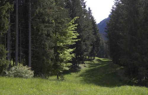 The Wild Deer Retreat - Foto 19