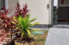 Plaza Fraga Maia - Photo 9