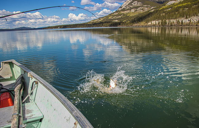 Little Atlin Lodge - Photo 44