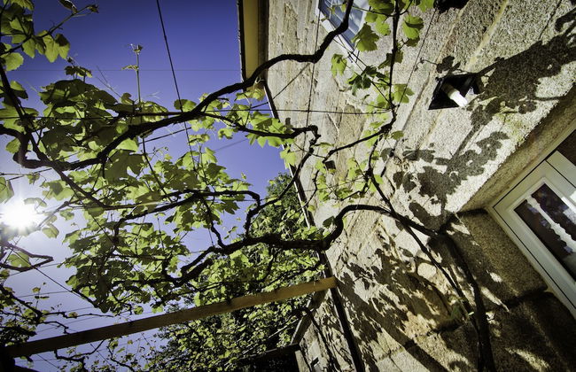 Casa de Turismo Rural Os Petroglifos - Photo 48